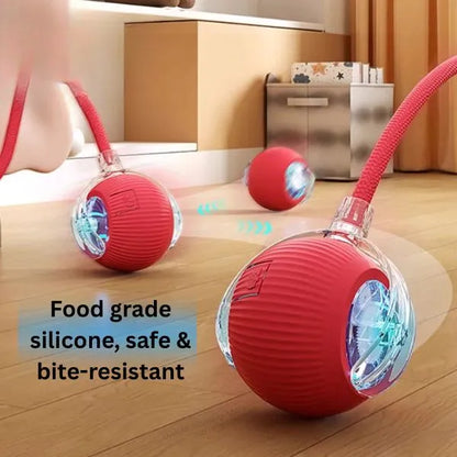 CAT TOYS INTERACTIVE