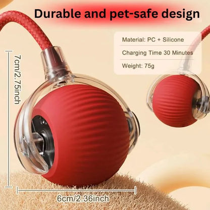 CAT TOYS 01