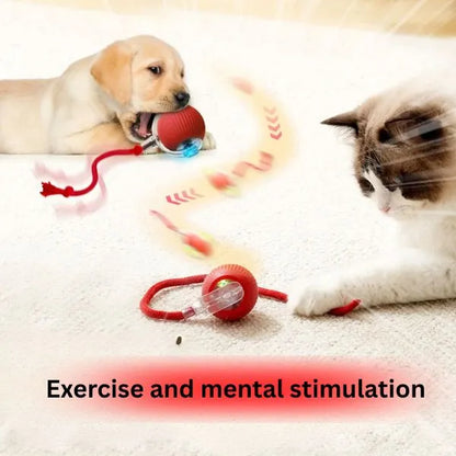 CAT TOYS 03