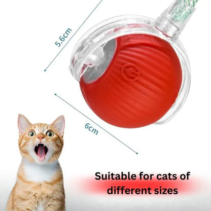 CAT TOYS 04