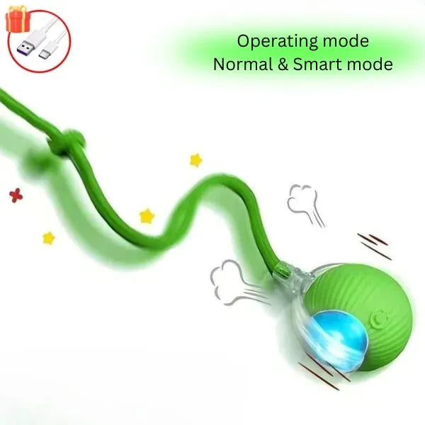 CAT TOYS 05
