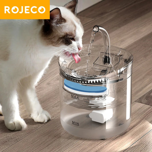 Cats Drinking Fountain Lucy